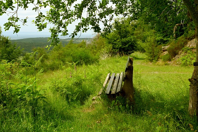 抵消国外市 抵消国外市