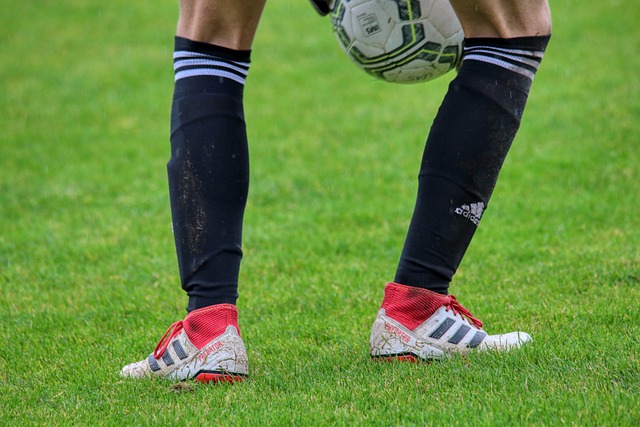 质量的互动 质量的互动