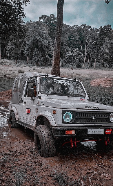 也许正因为 也许正因为