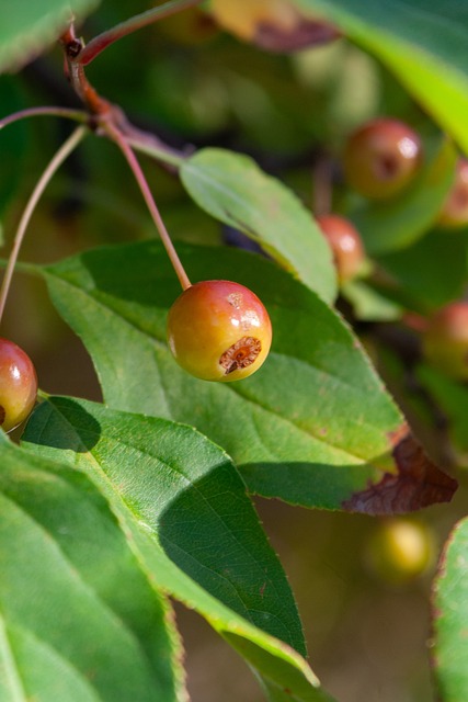 退休生活准 退休生活准